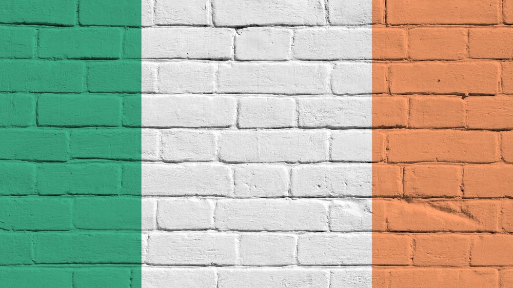 Specialised Construction Roles in Ireland